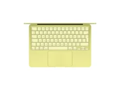 Apple 13