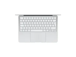Apple 13