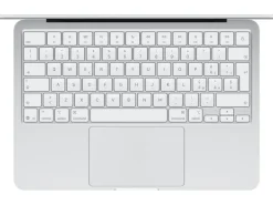 Apple 13