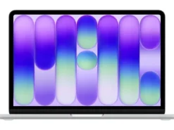 Apple 13