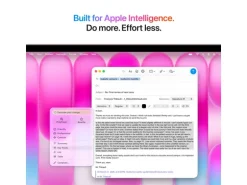 Apple 13