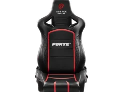 Asetek Racing Forte Kunstleder, Stahlrahmen