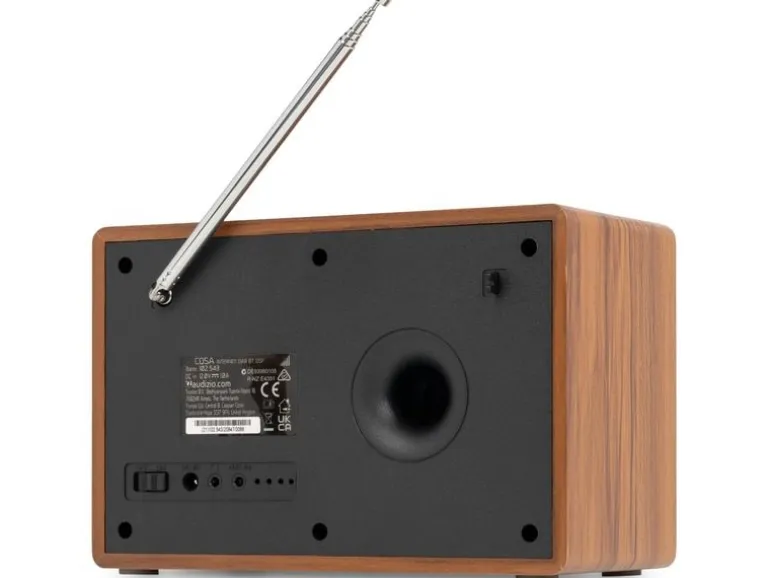 Audizio Cosa-WD Braun