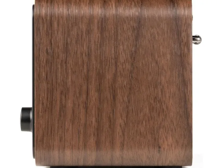 Audizio DAB+ Radio Avio Braun