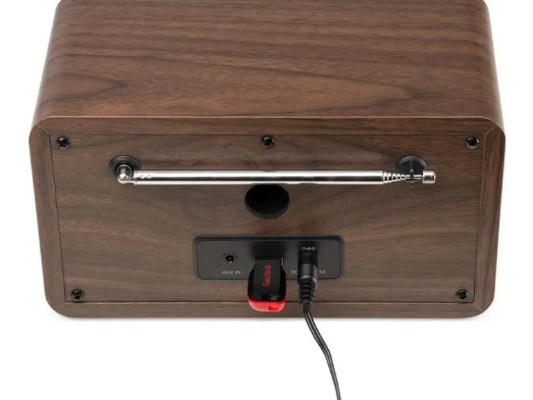 Audizio DAB+ Radio Avio Braun