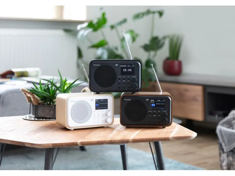 Audizio DAB+ Radio Milan Dunkelbraun/Silber