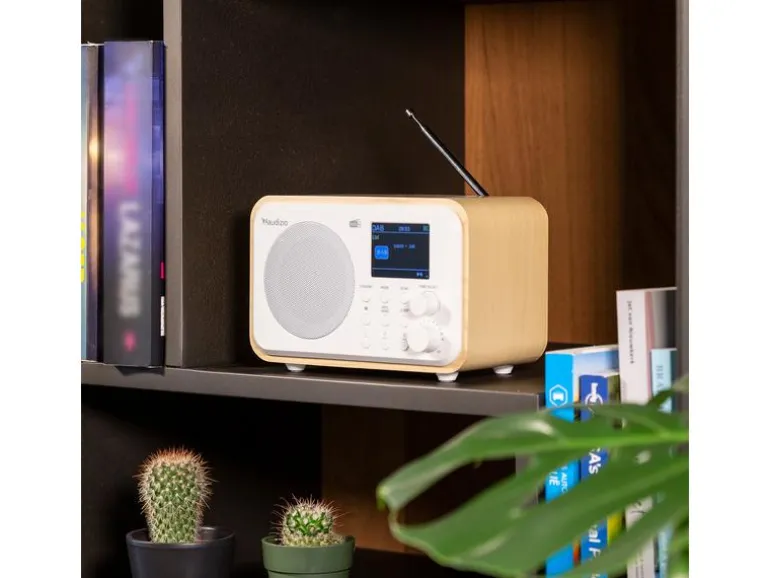 Audizio DAB+ Radio Milan Dunkelbraun/Silber