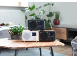 Audizio DAB+ Radio Milan Dunkelbraun/Silber