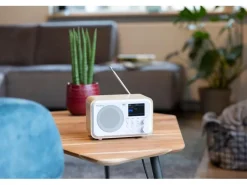 Audizio DAB+ Radio Milan Dunkelbraun/Silber