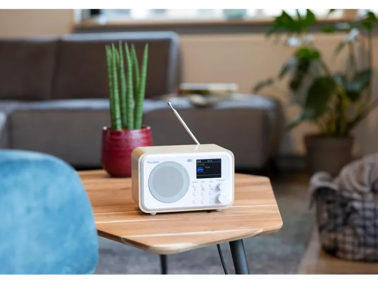 Audizio DAB+ Radio Milan Dunkelbraun/Silber