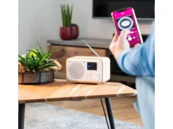 Audizio DAB+ Radio Milan Dunkelbraun/Silber