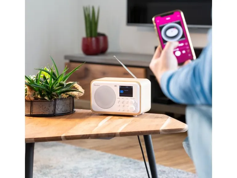 Audizio DAB+ Radio Milan Dunkelbraun/Silber