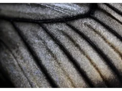 Canon Festbrennweite RF 100mm F/2.8 L Macro IS USM – Canon RF