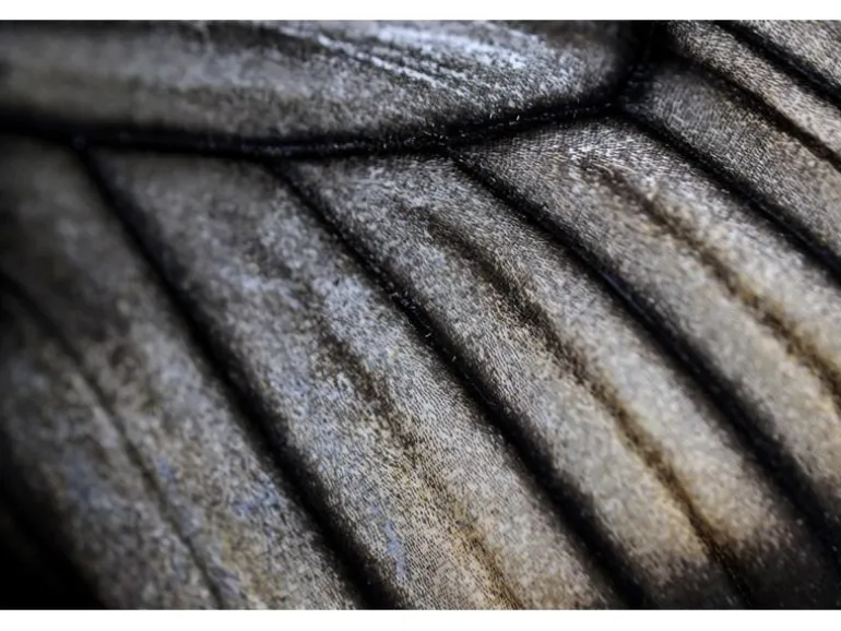 Canon Festbrennweite RF 100mm F/2.8 L Macro IS USM – Canon RF