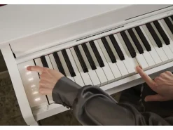Casio E-Piano CELVIANO AP-300WE