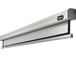 Celexon Motorleinwand Motor Professional 280x210cm 4:3