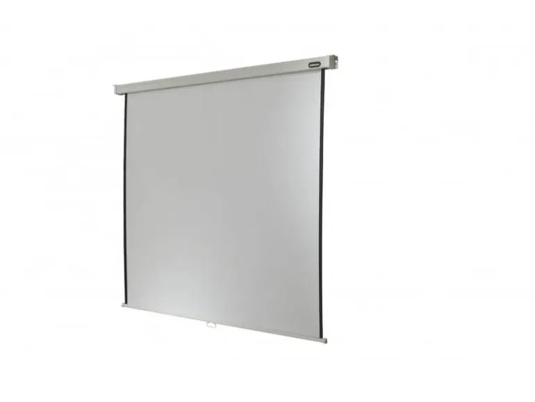 Celexon Rollo-Leinwand Professional Plus 200x125 cm 16:10