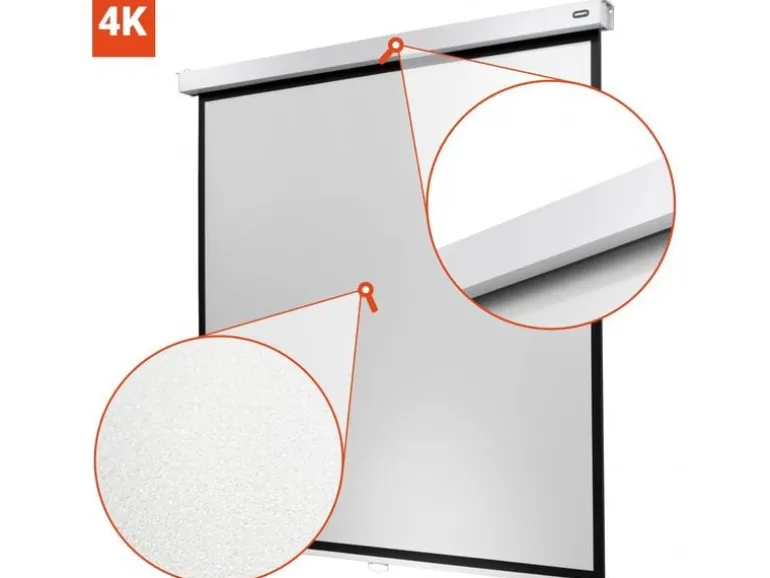 Celexon Rollo-Leinwand Professional Plus 200x125 cm 16:10