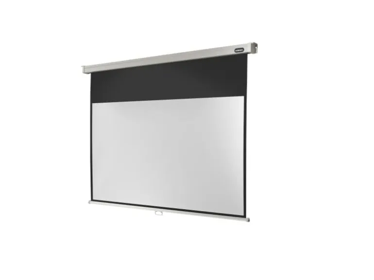 Celexon Rollo-Leinwand Pro 200x113cm 16:9