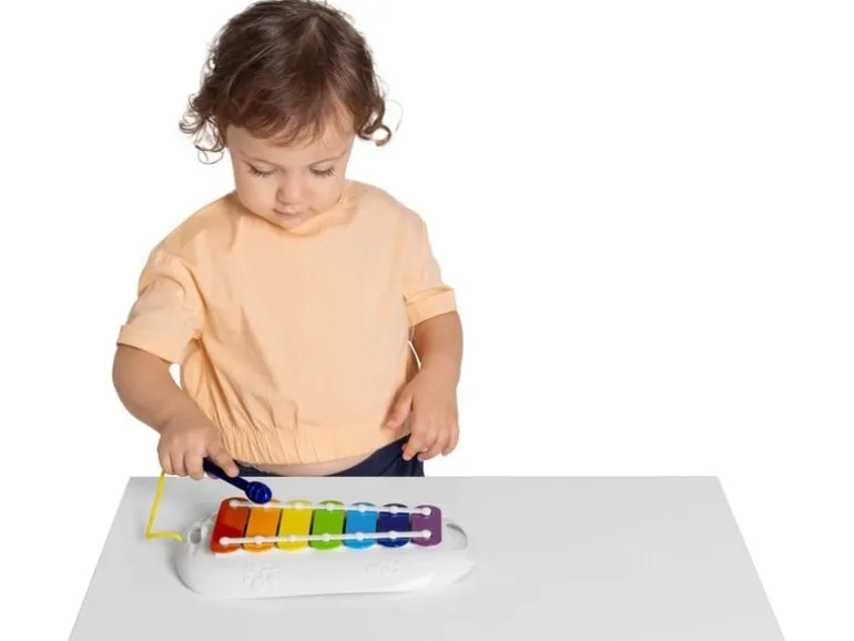 Chicco Musikspielzeug Mein erstes Xlophon