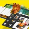 Corel PaintShop Pro 2023 ESD, Vollversion