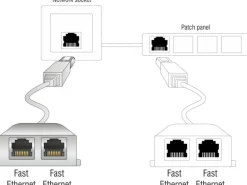 Delock Anschlussverdoppler 2x 100Mbps LAN 1 Stück