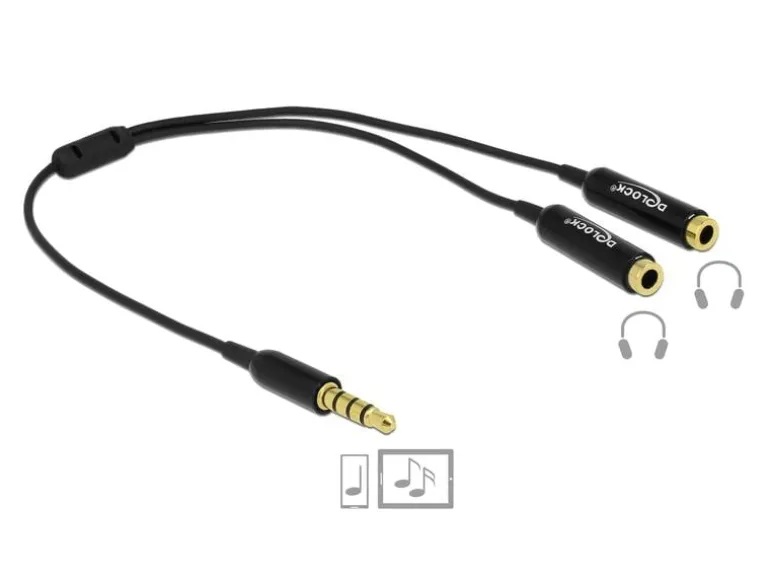 Delock Audio-Kabel Klinke 3.5 mm, male – female, 0.25 m Schwarz
