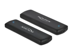 Delock Externes Gehäuse 42615 für M.2 NVMe PCIe SSD