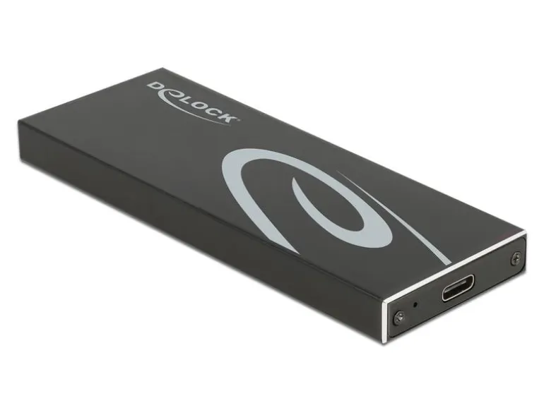 Delock Externes Gehäuse für M.2 SATA SSD mit USB Type-C M.2