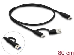 Delock Hub (10 Gbps, Metall, 2x USB-C, 2x USB-A)