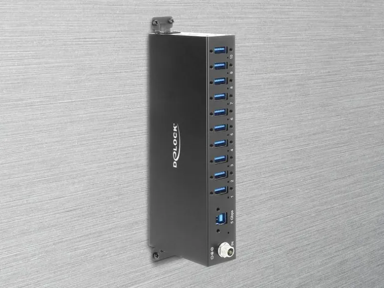 Delock Industrie Hub (10 x USB 5 Gbps Typ-A)