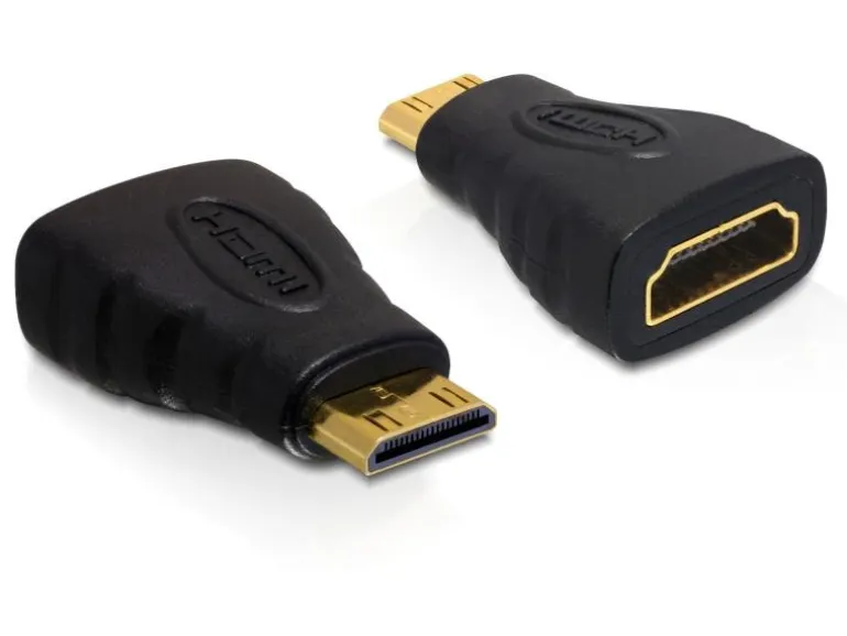 Delock Konverter Mini-HDMI (HDMI-C) – HDMI Schwarz