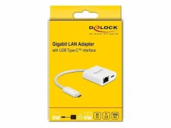 Delock Netzwerk-Adapter 65402 USB-C – RJ45 mit PowerDelivery