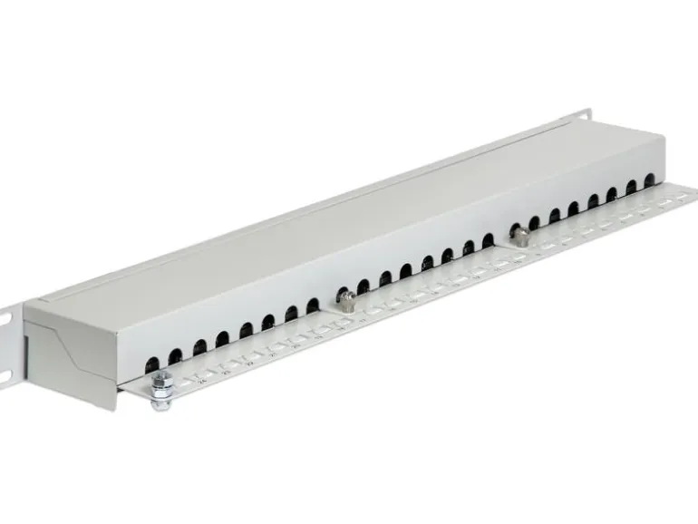Delock Patchpanel 24 Port Cat.6 19" Rack Grau
