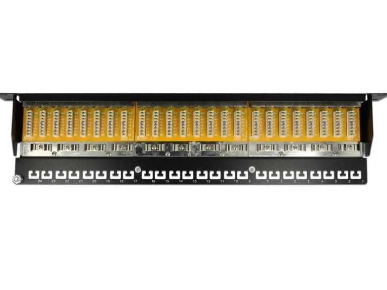 Delock Patchpanel 24 Port Cat.6 19" Rack Grau