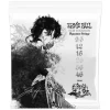 Ernie Ball Tim Henson Signature Kobalt 9.5 - 46
