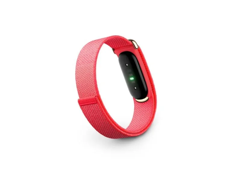 Fitbit Air Rot