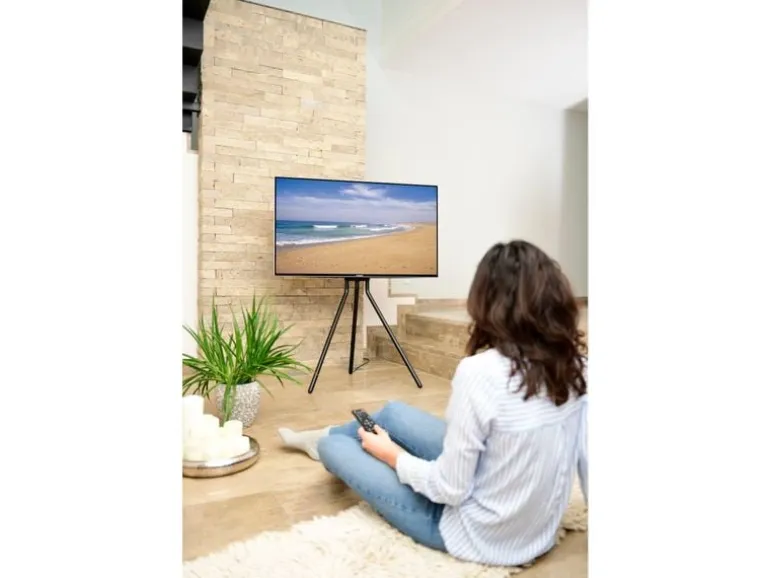 Hama Technics AG TV-Ständer (Staffelei) 75" Schwarz