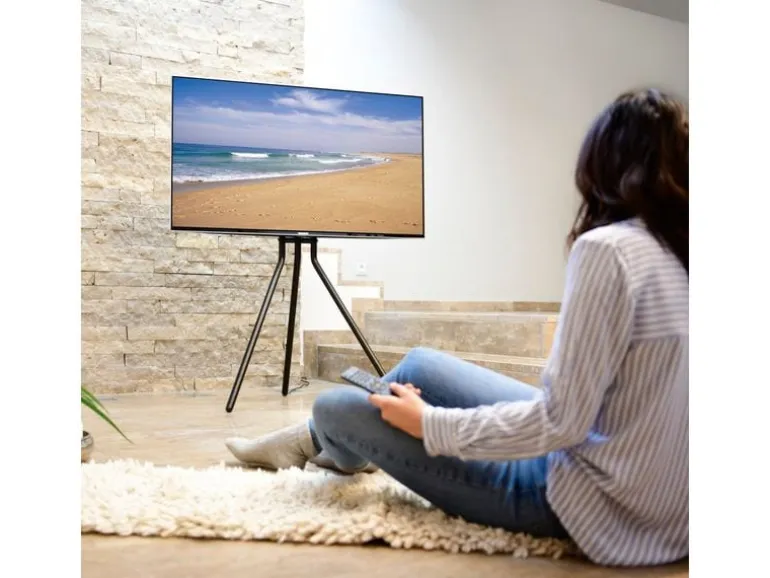 Hama Technics AG TV-Ständer (Staffelei) 75" Schwarz