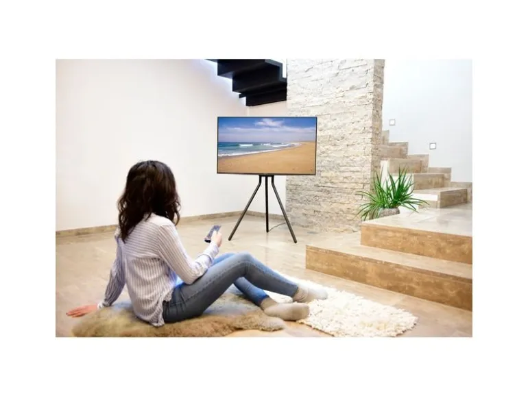 Hama Technics AG TV-Ständer (Staffelei) 75" Schwarz