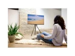 Hama Technics AG TV-Ständer (Staffelei) 75