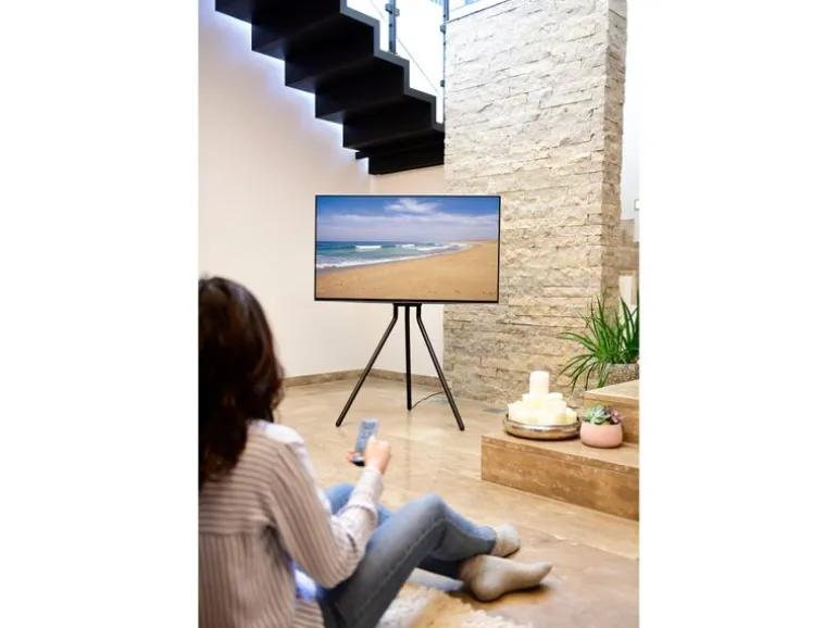 Hama Technics AG TV-Ständer (Staffelei) 75" Schwarz