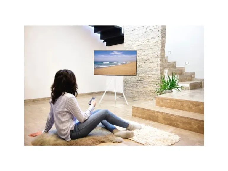Hama Technics AG TV-Ständer (Staffelei) 75" Weiss