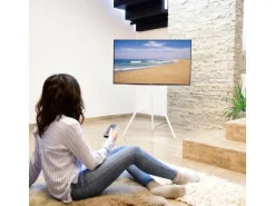 Hama Technics AG TV-Ständer (Staffelei) 75