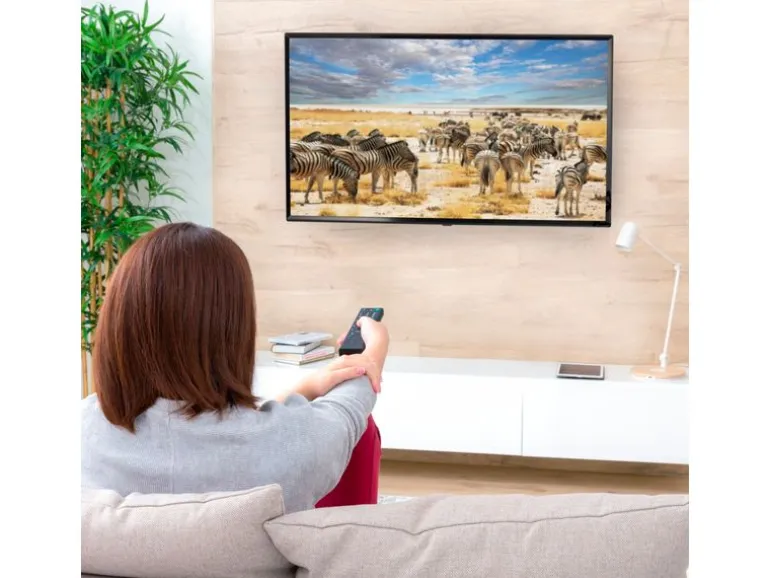 Hama Technics AG TV-Wandhalterung 48" Schwarz
