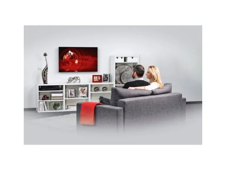 Hama Technics AG TV-Wandhalterung 65" Schwarz