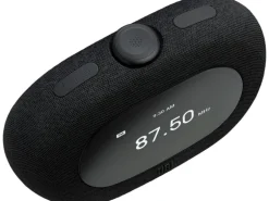 JBL DAB+ Radio Horizon 3 Schwarz