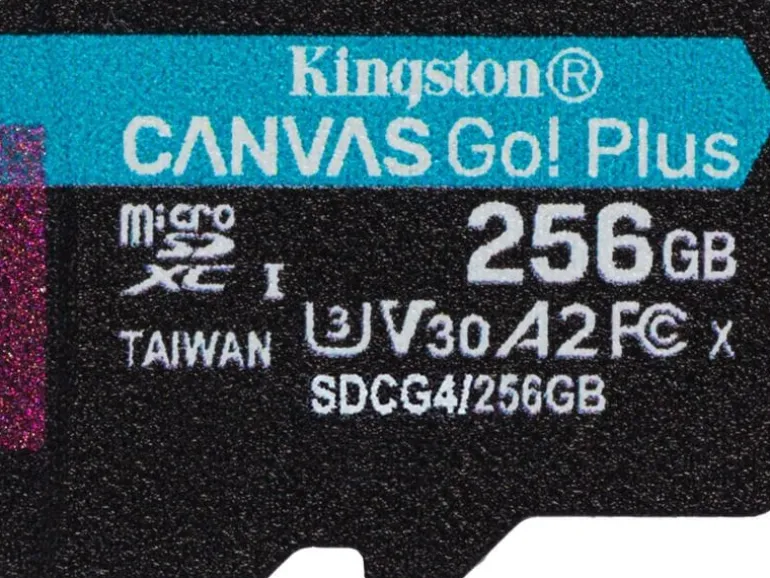 Kingston microSDXC-Karte Canvas Go! Plus 256 GB