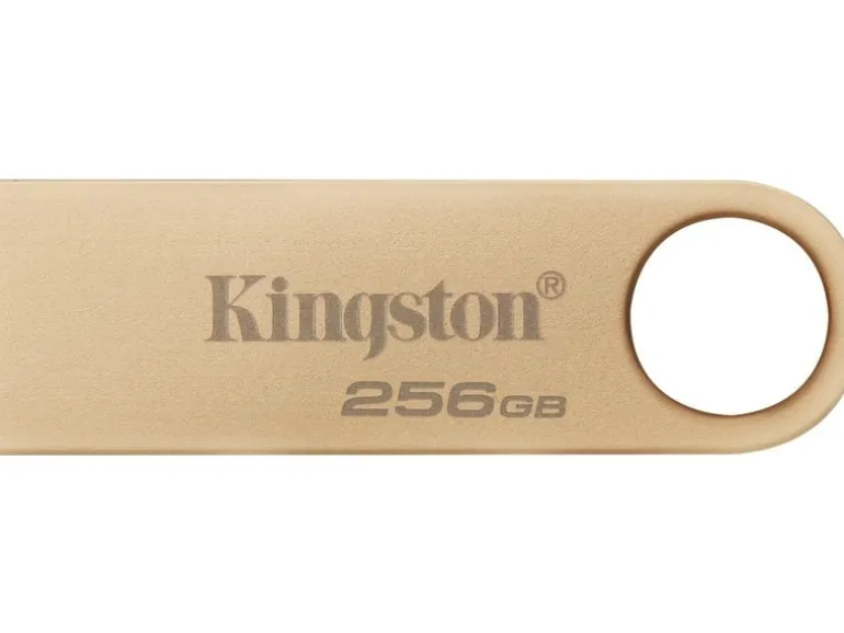 Kingston USB-Stick DataTraveler SE9 G3 256 GB