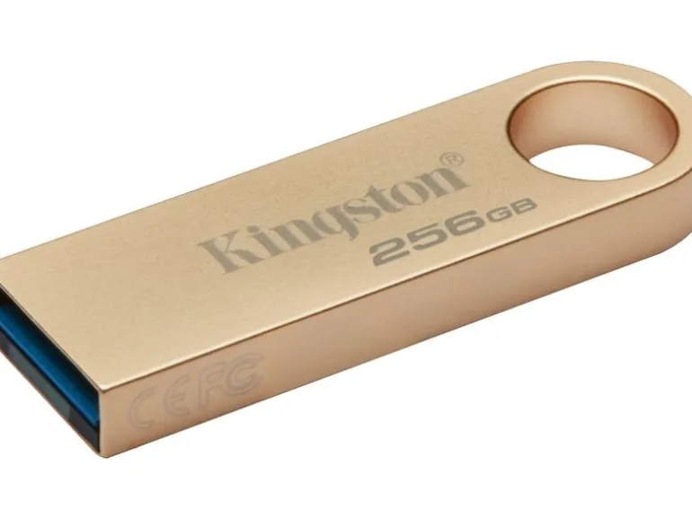Kingston USB-Stick DataTraveler SE9 G3 256 GB